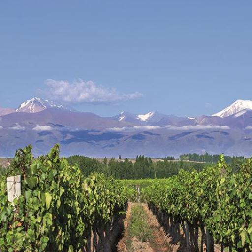 Argentinien 